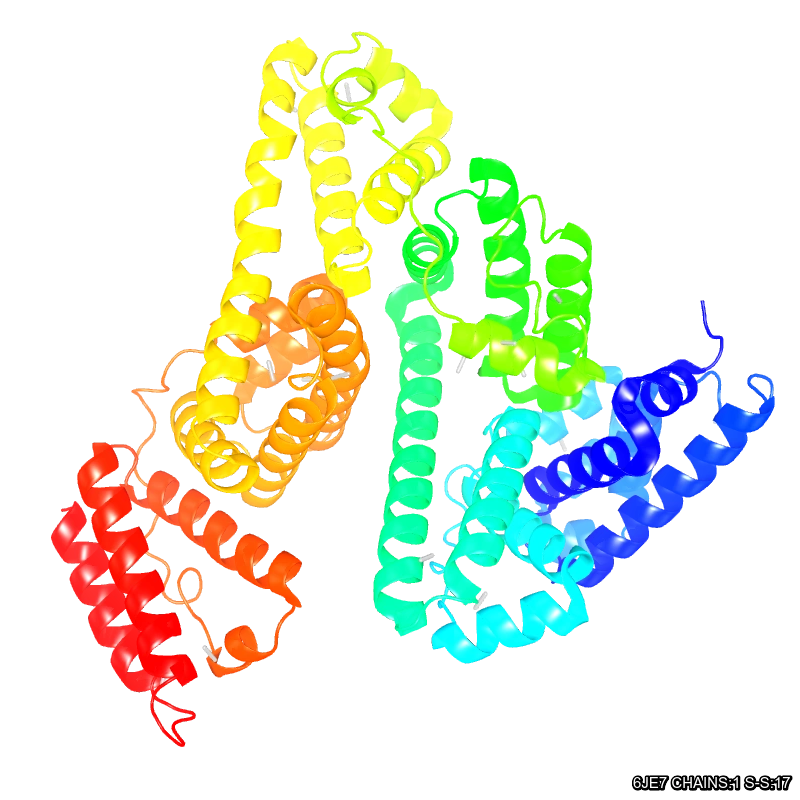 Molecules in Chromatography