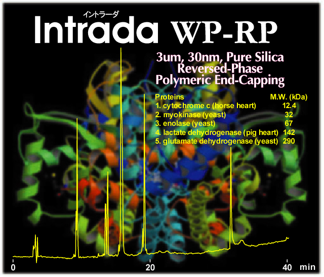 Intrada WP-RP - 단백질 등 생체고분자를 위한 광기공(Wide-Pore) 역상 컬럼