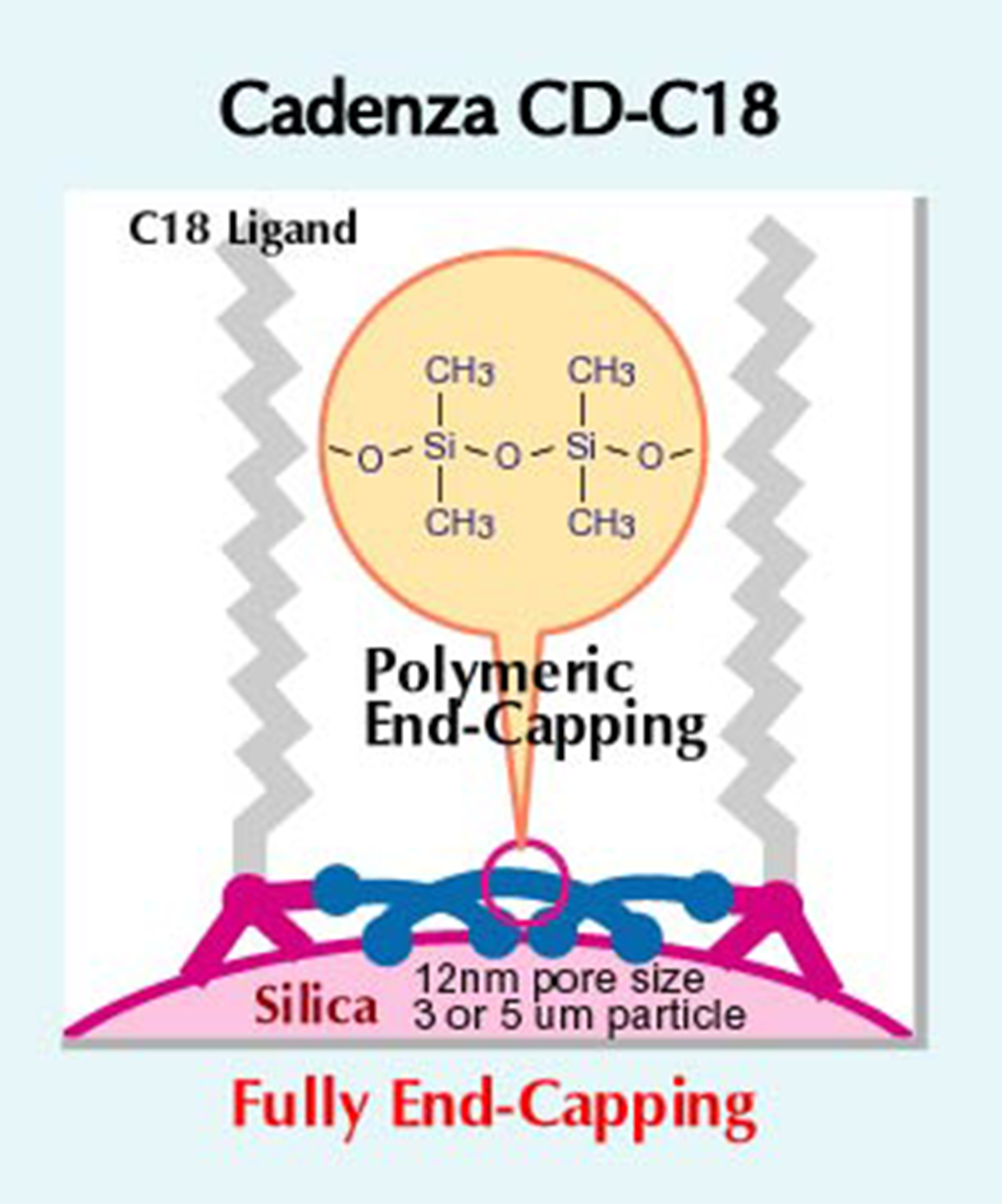Cadenza CD-C18 - 독특한 엔드캡핑을 통한 고성능 ODS 컬럼