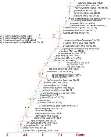 Intrada Amino Acid - 세계 최초의 LC-MS 무유도체화 아미노산 분석 컬럼