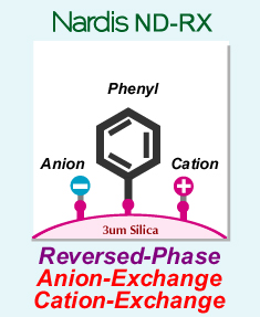 Nardis ND-RX - 역상(Reversed-phase) + 이중 이온교환 모드 컬럼